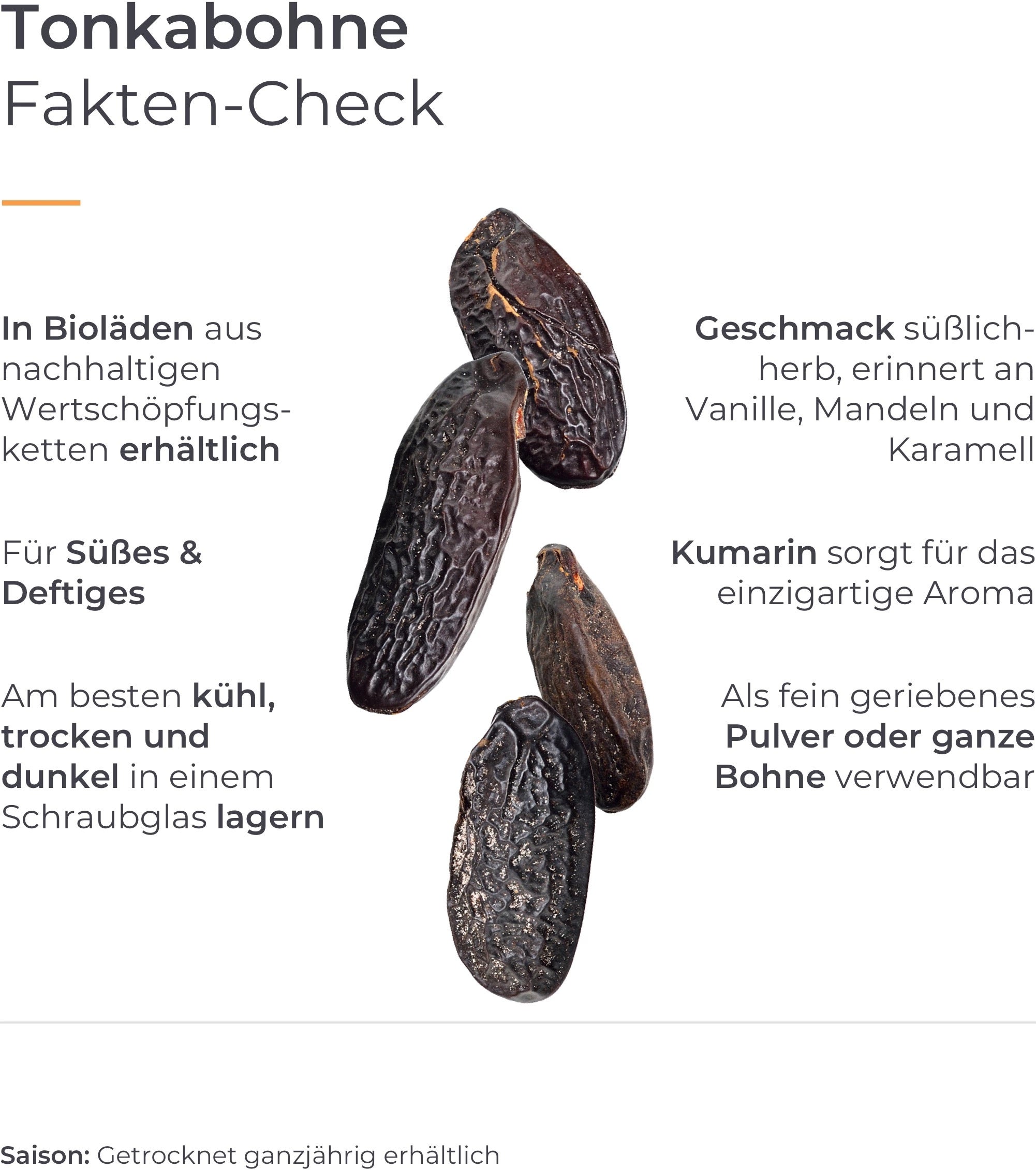 Infografik mit Fakten zur Tonkabohne.