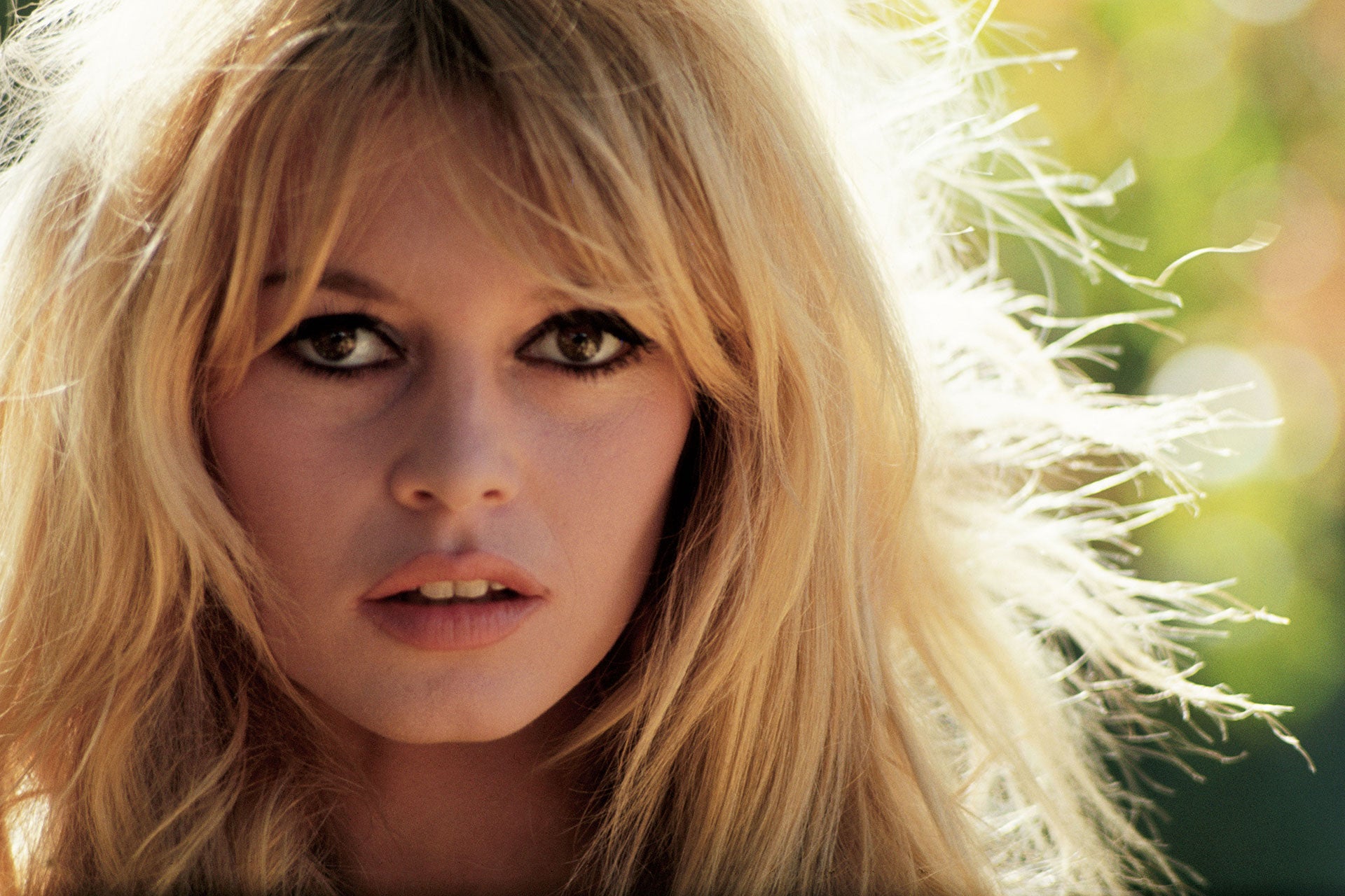 Brigitte Bardots problem: kan kunst virkelig skilles fra kunstneren?