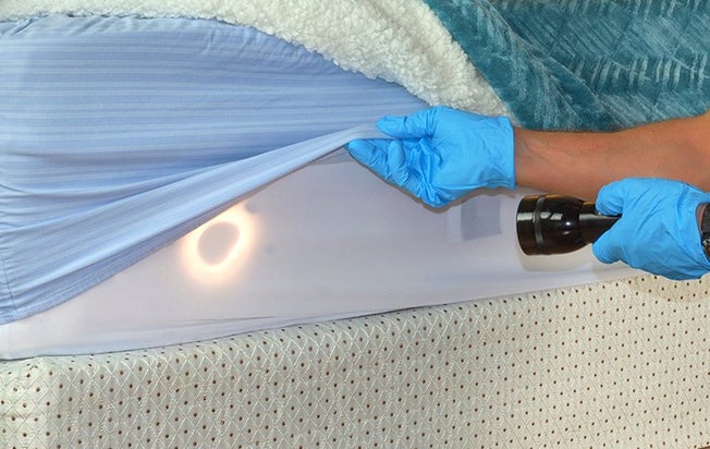 Bed bug inspection of a bed