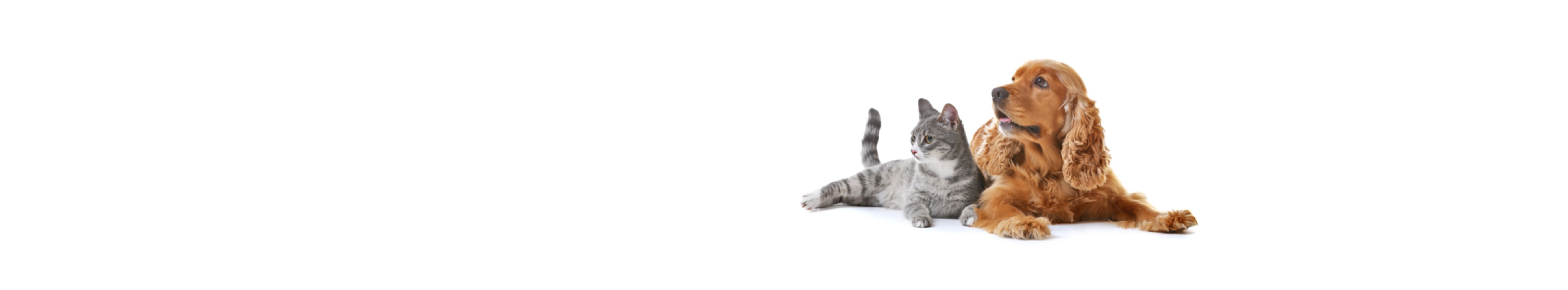 Milbemax ontworming voor honden en katten