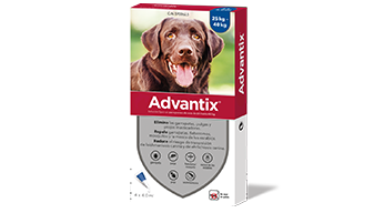 Advantix® Perros de entre 25kg y 40kg packshot