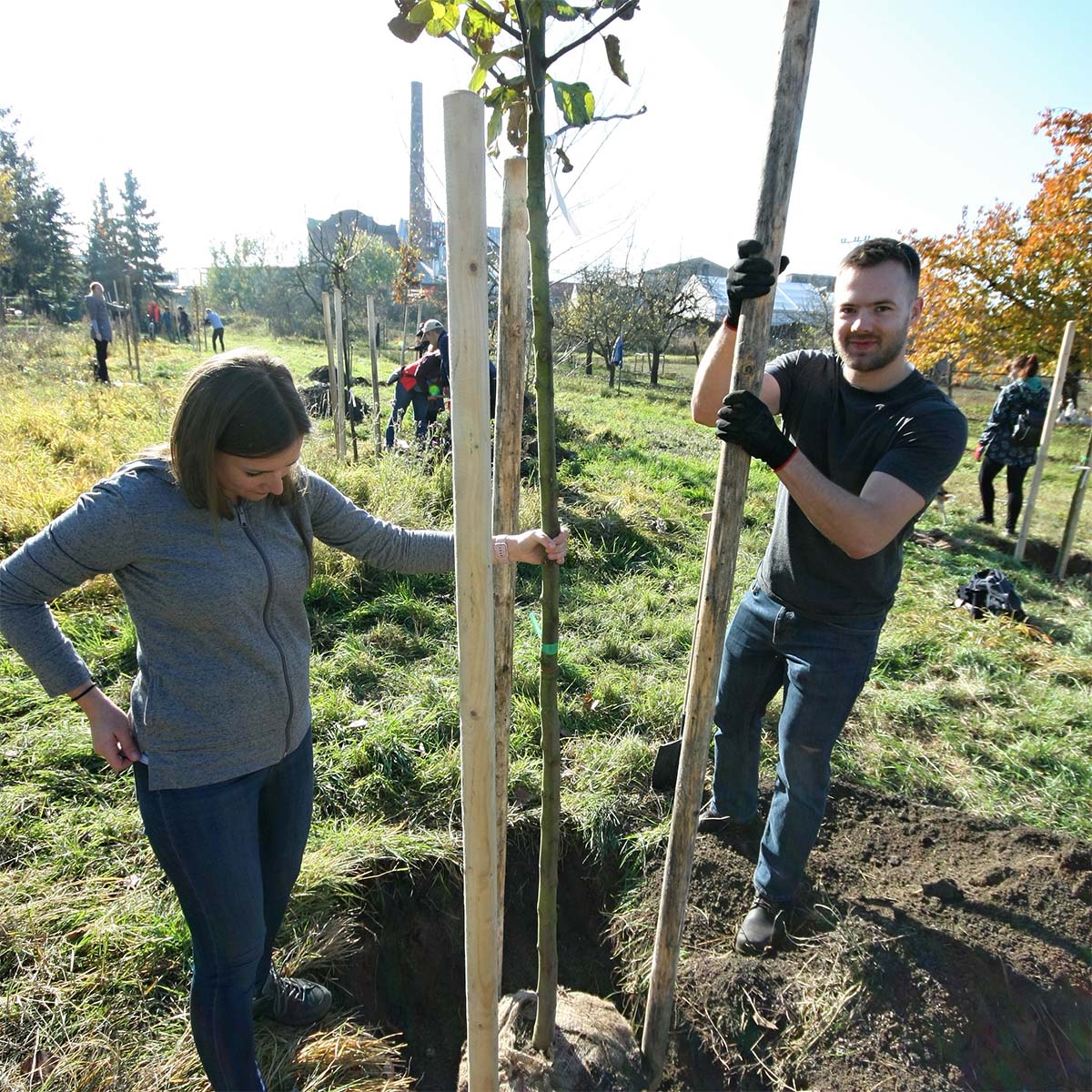 We’ve planted over 3200 trees—ourselves.