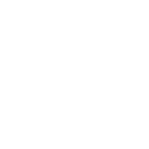 Storyblok logo