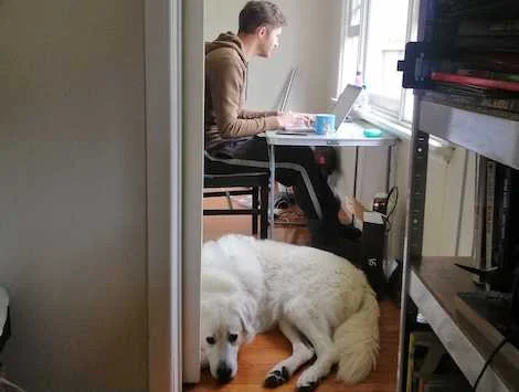 Man working on computer with fluffy dog at his feet