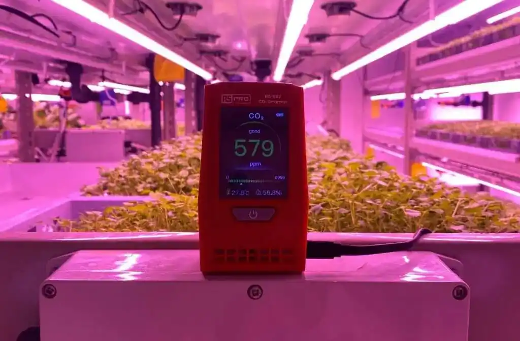 lettus grow, vertical farm, sensor