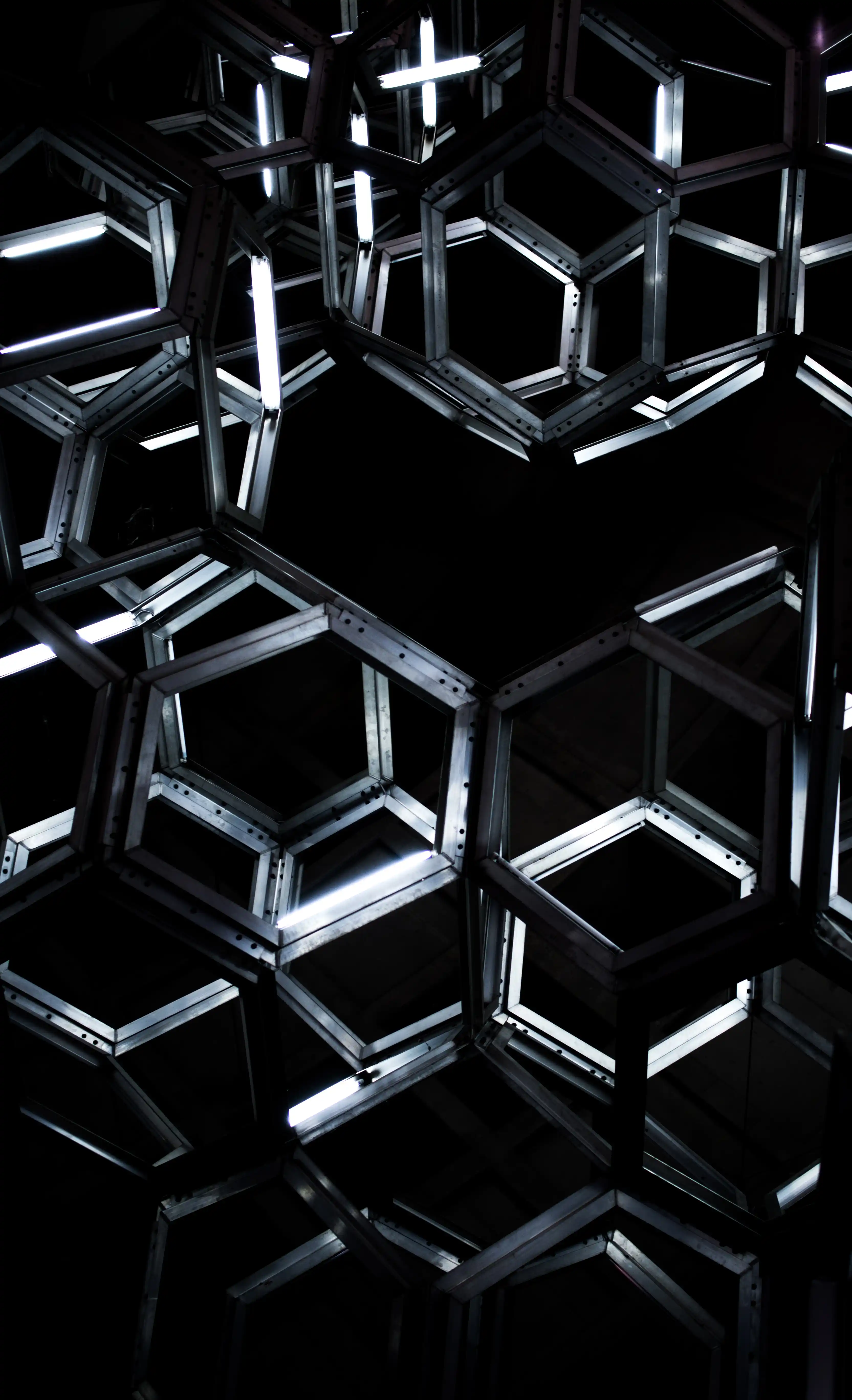 NESFF partnership image