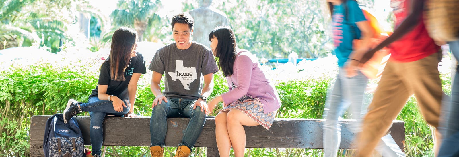 Students sitting on wall outside campus