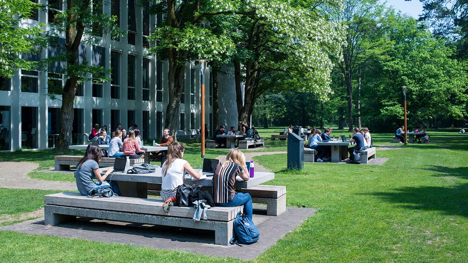 Green spaces on campus