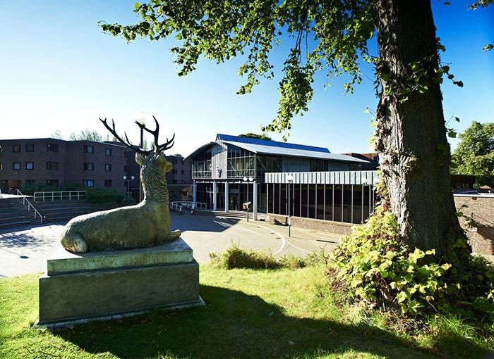 Stag statue outside Durham campus