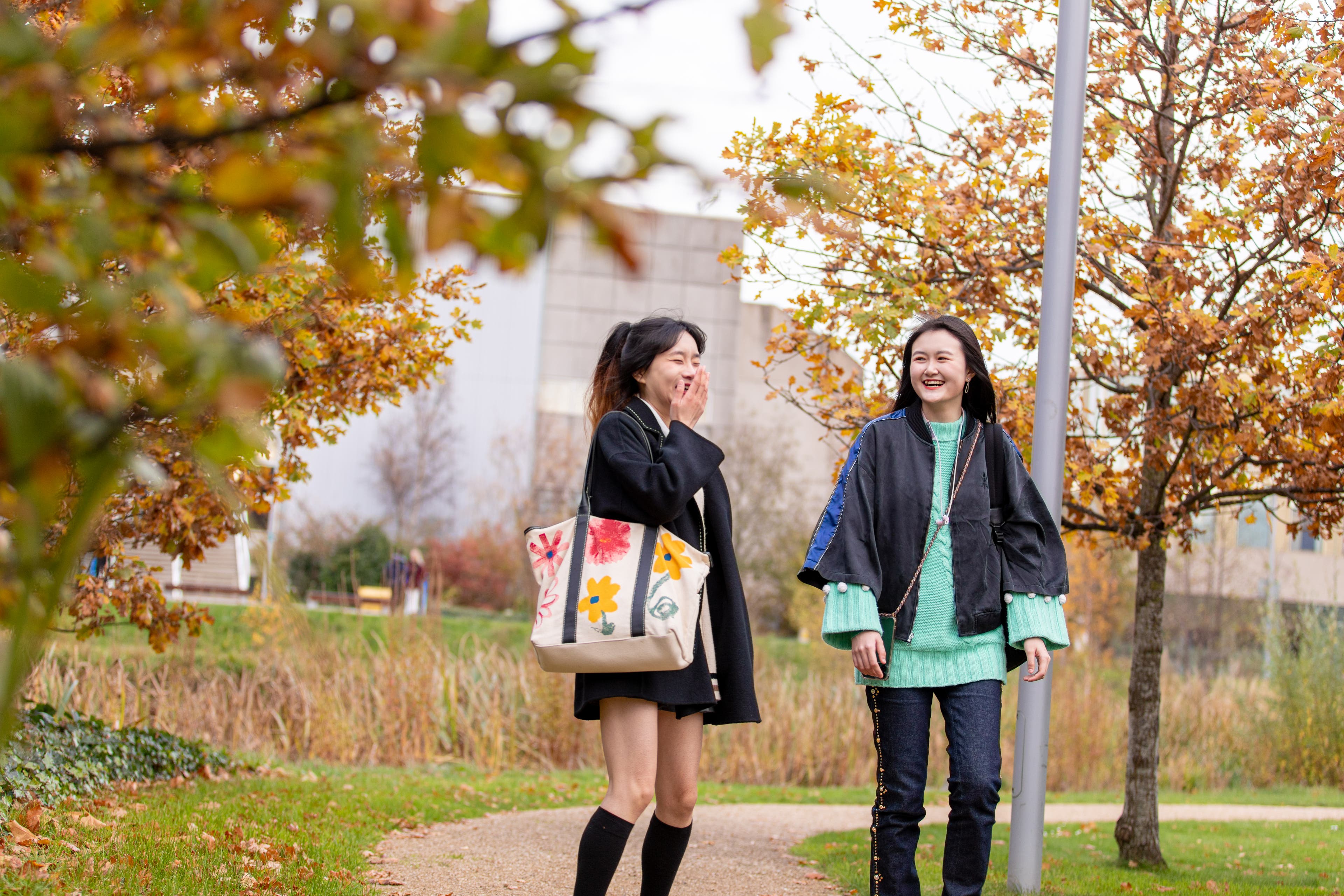 Students on campus chatting
