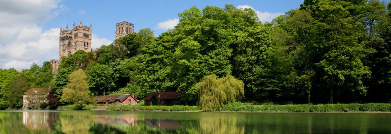 A castle in Durham surrounded by trees
