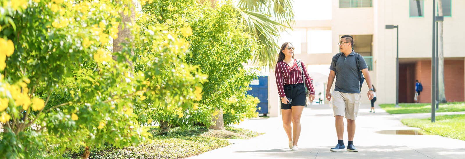 Students walking past trees on campus