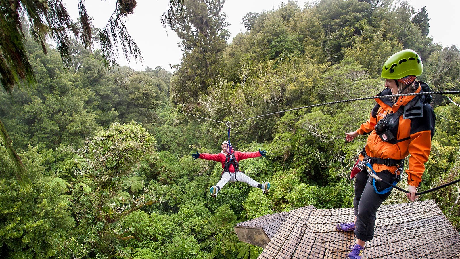 People on zip-wire in New Zealand rainforest