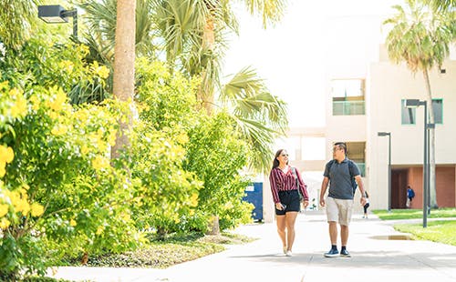 Students walking past palm trees