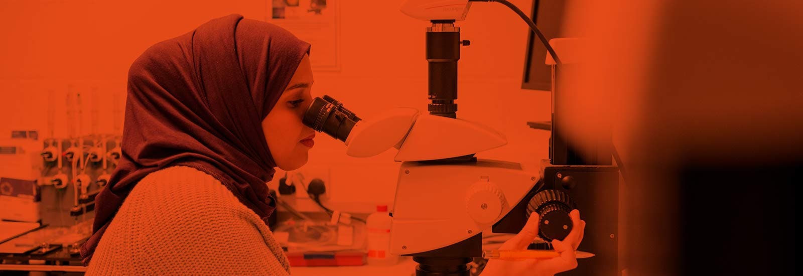萨塞克斯大学的一名学生在使用显微镜
