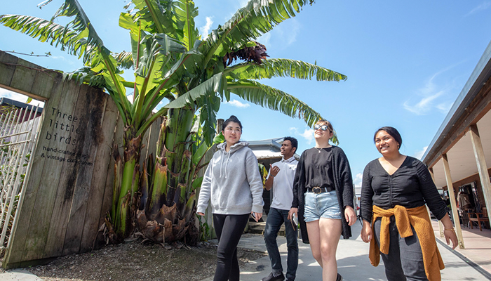 Students walking through Waikato past palm tree