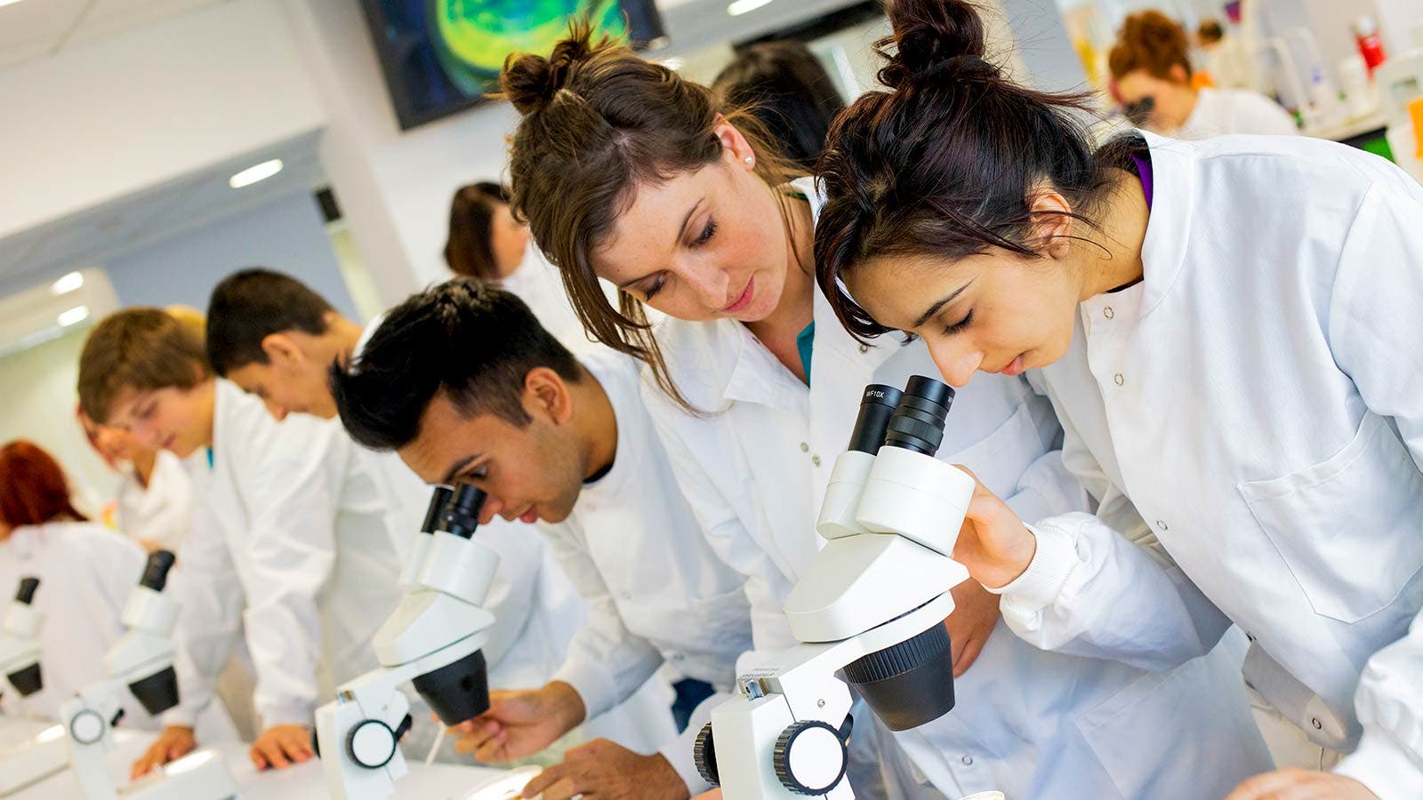 Science students in lab coats looking through microscopes