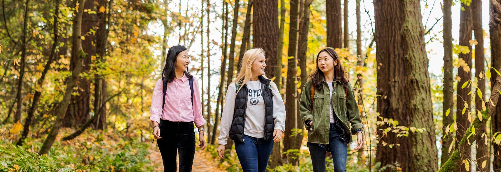 Students walking in forest together