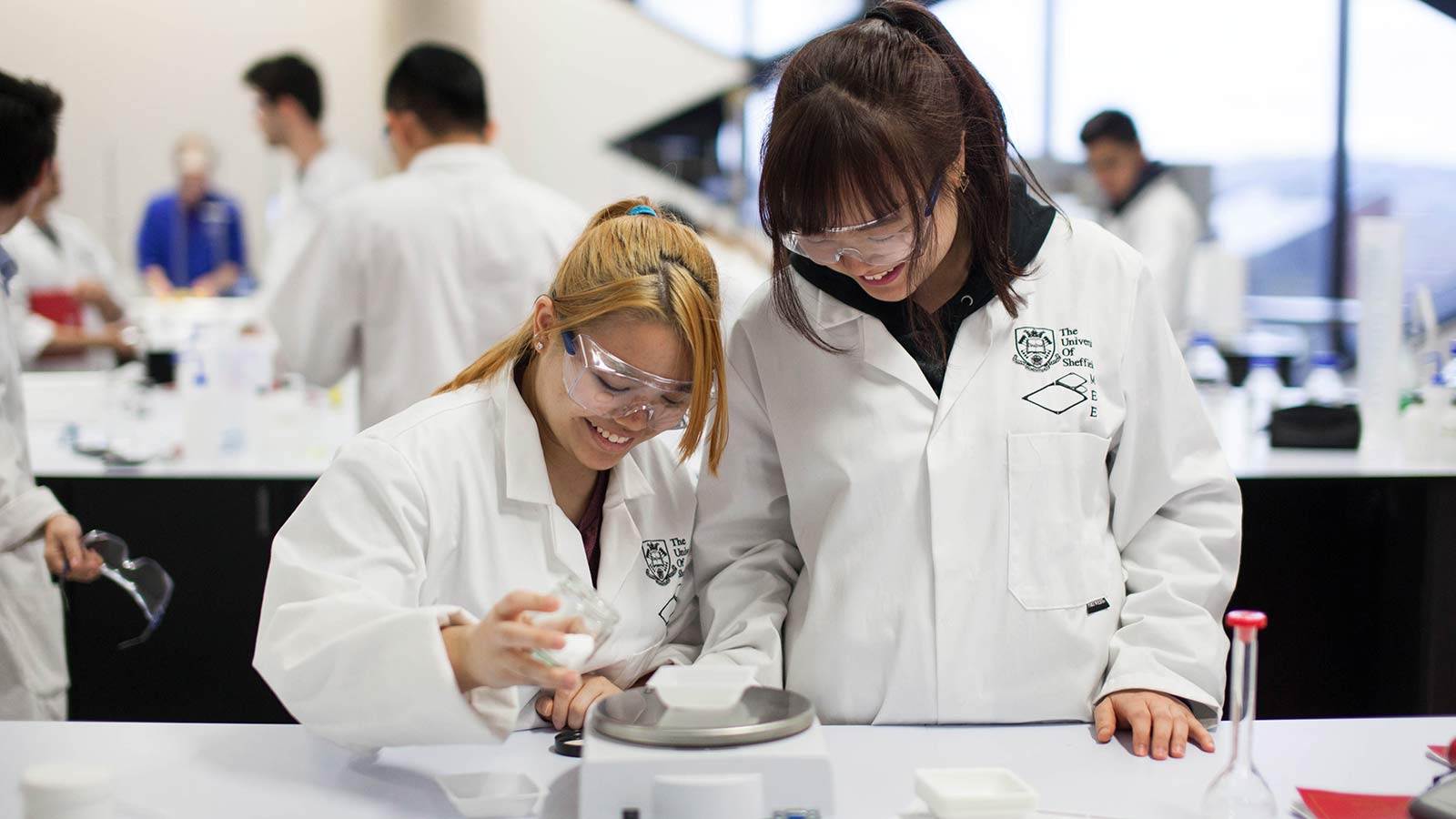 Students studying chemical engineering