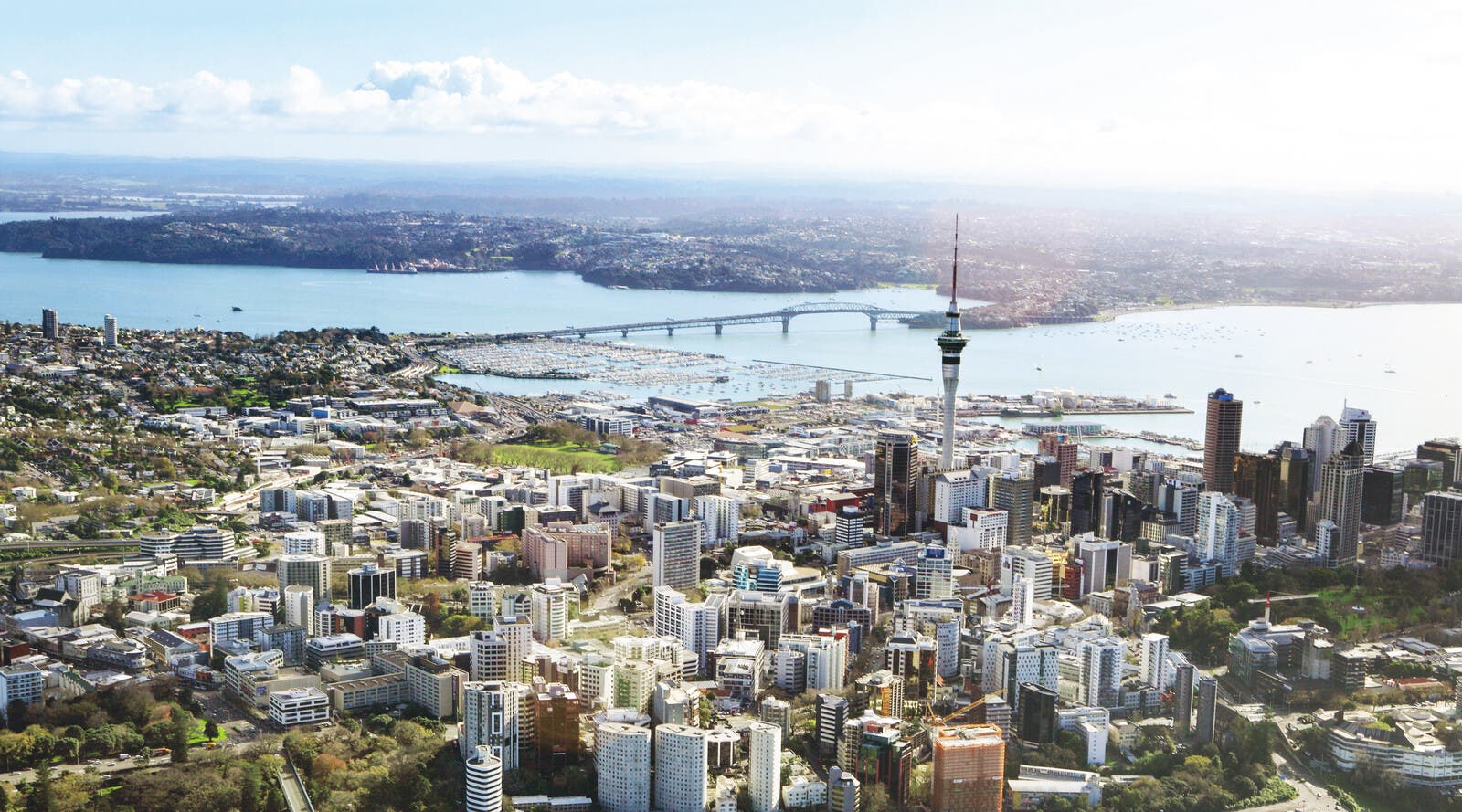 Birds-eye view of buildings in Auckland