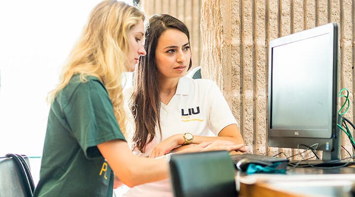 LIU students working at computer
