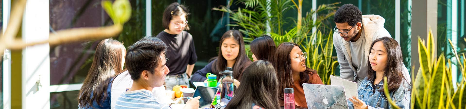 University of Sydney students studying together