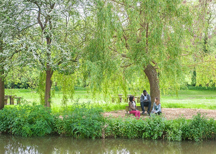 Surrey students sitting in a park