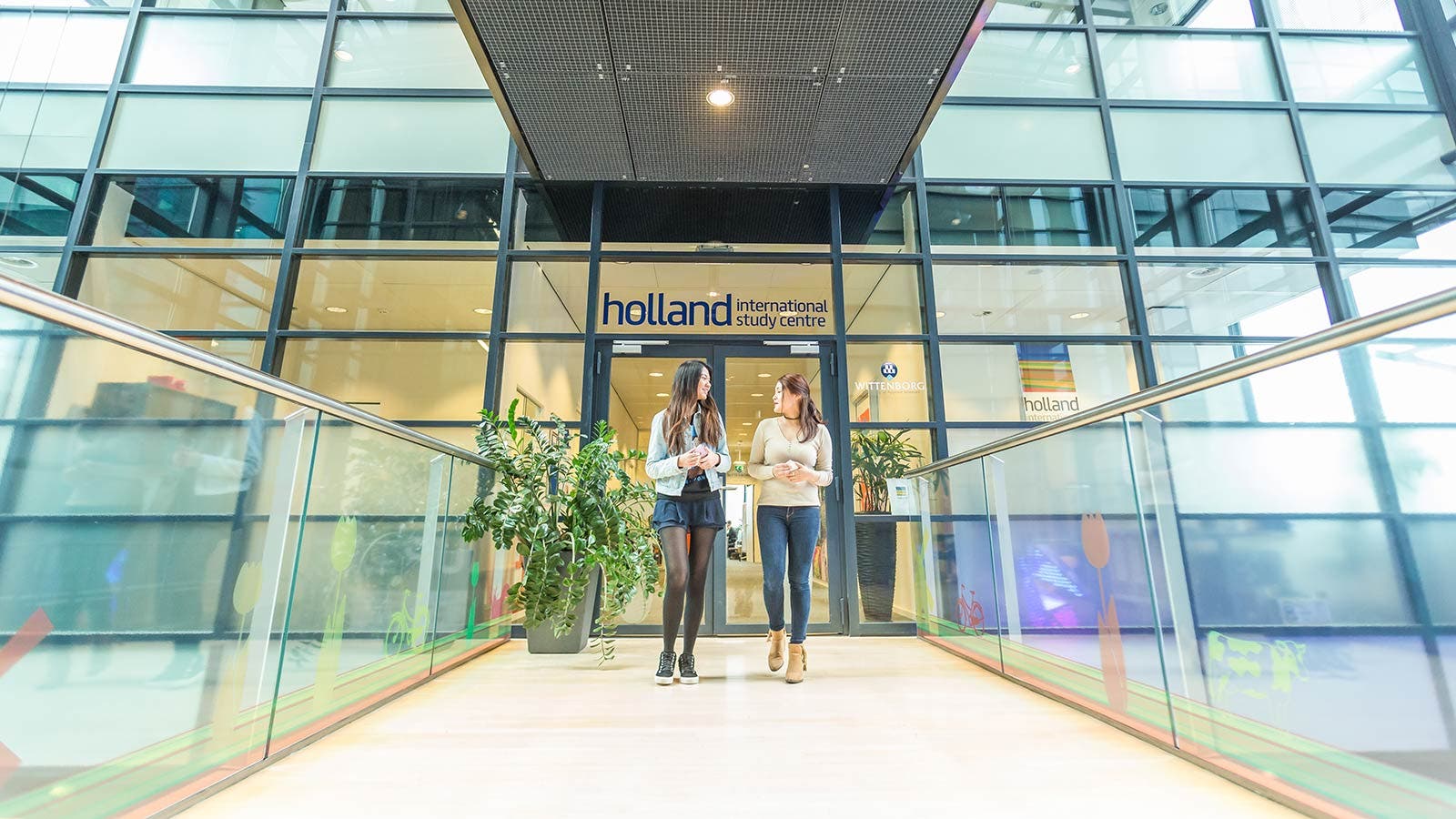 荷兰国际学习中心窗口中植物的倒影