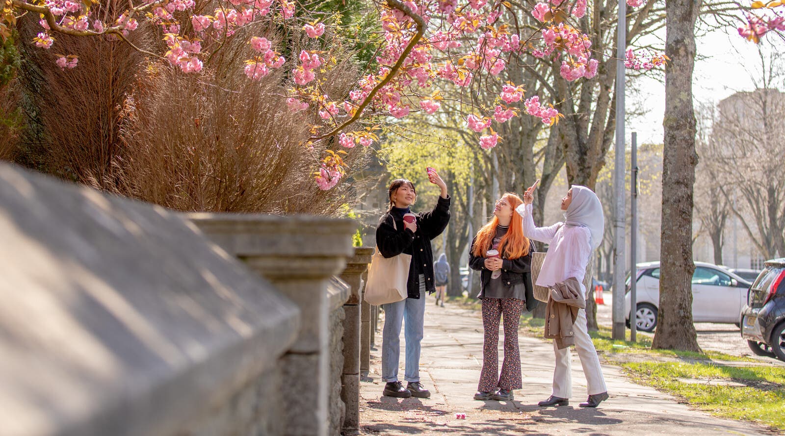 Three students under blossoming trees on a university campus