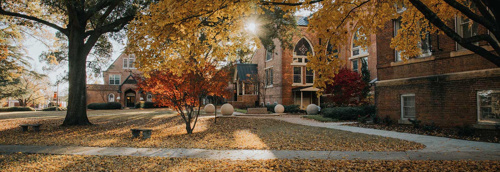 Mercer campus covered in autumn leaves