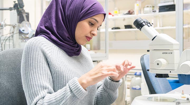 Sussex student working with microscope in lab