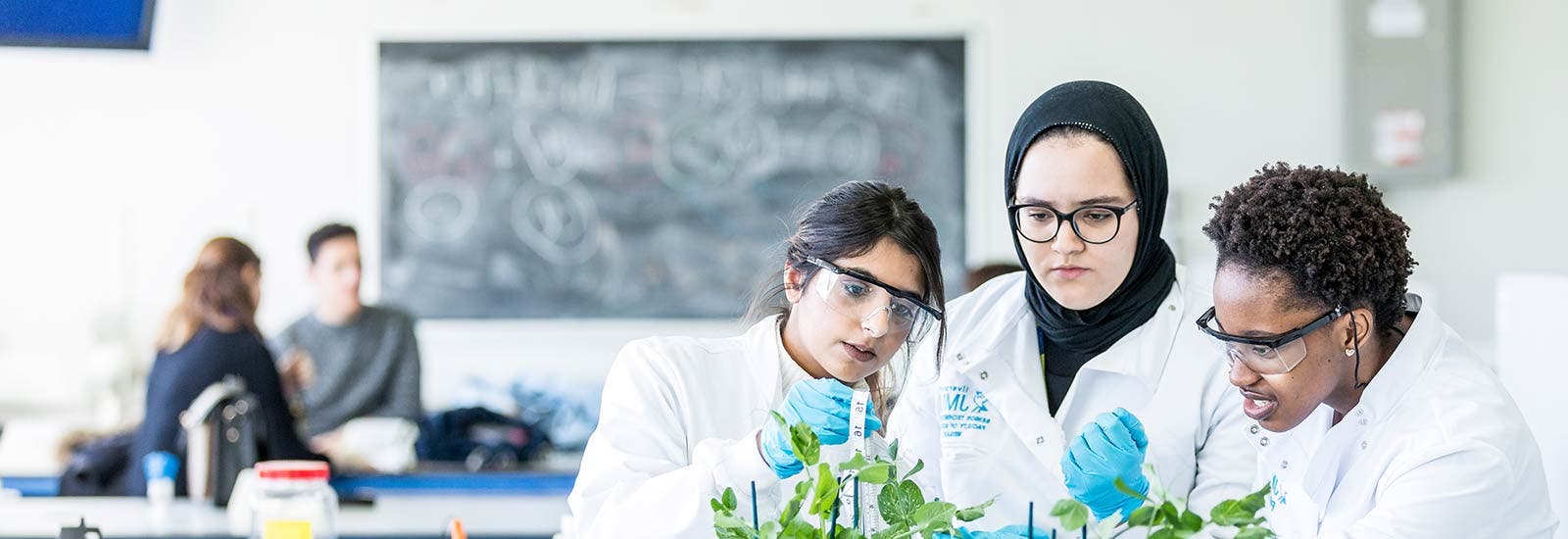 Students working together in a lab