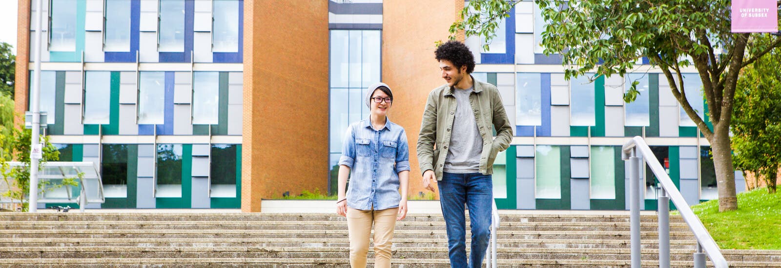 Students walking down university steps