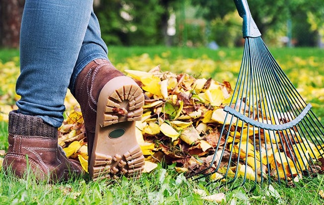 cleaning up fall leaves in a home