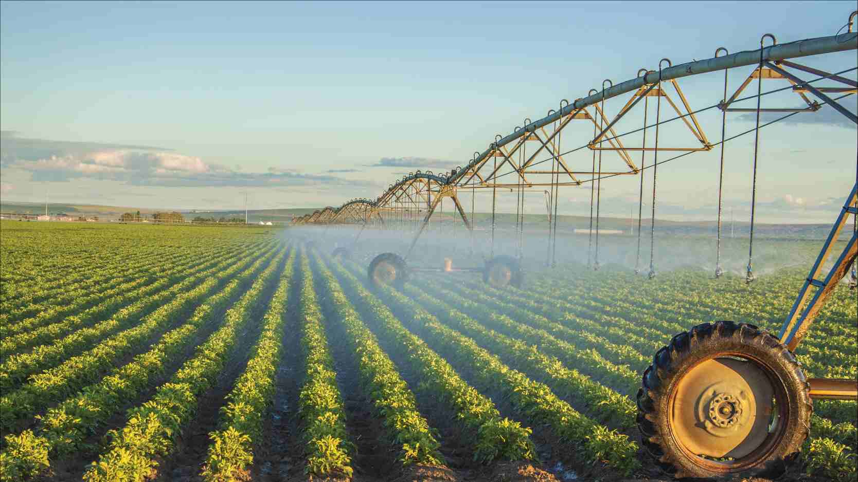 Texcan - Industries - Agriculture - Irrigation