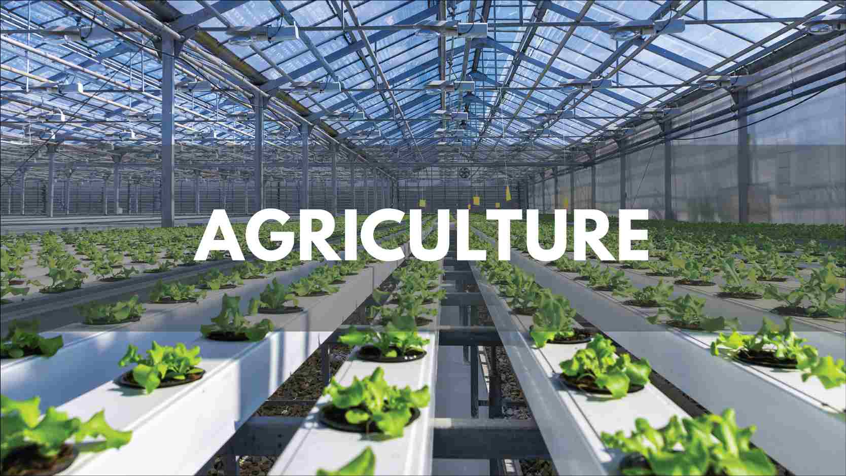 Texcan - Industries - Agriculture v2: Temperature controlled Greenhouse growing lettuce