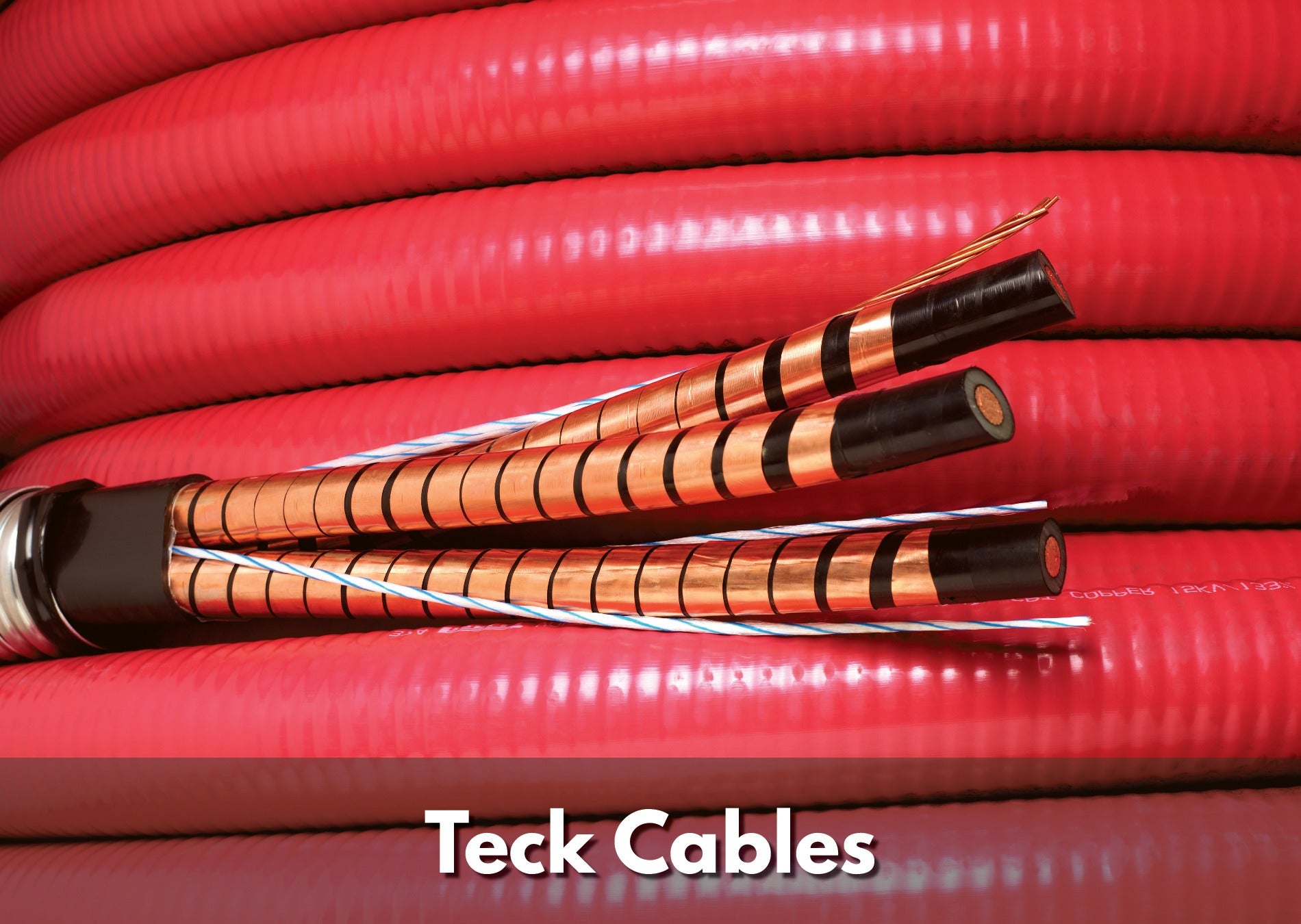 Texcan - View All Products - Teck cable .jpg