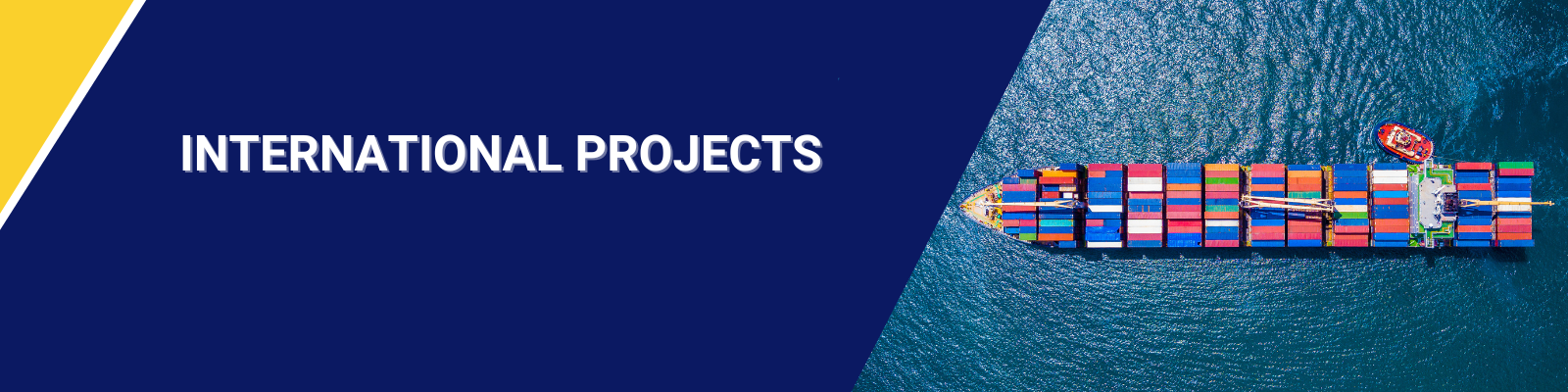 INTERNATIONAL PROJECTS Banner