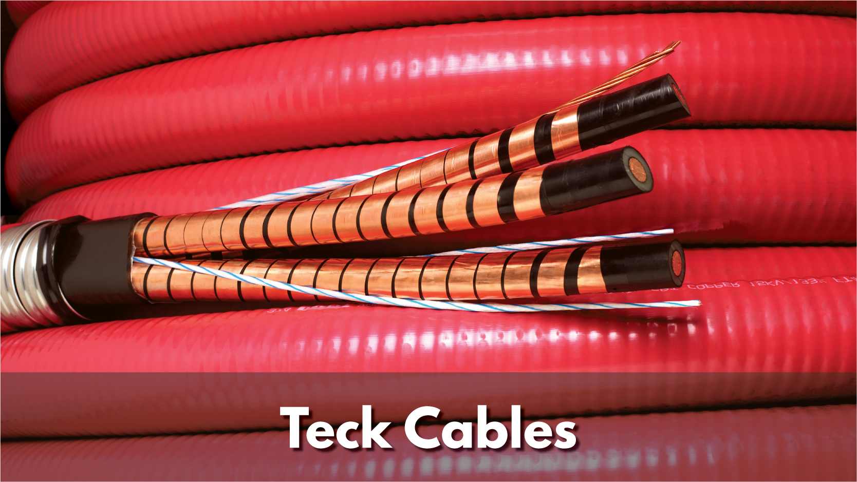Texcan - View All Products - Teck Cables