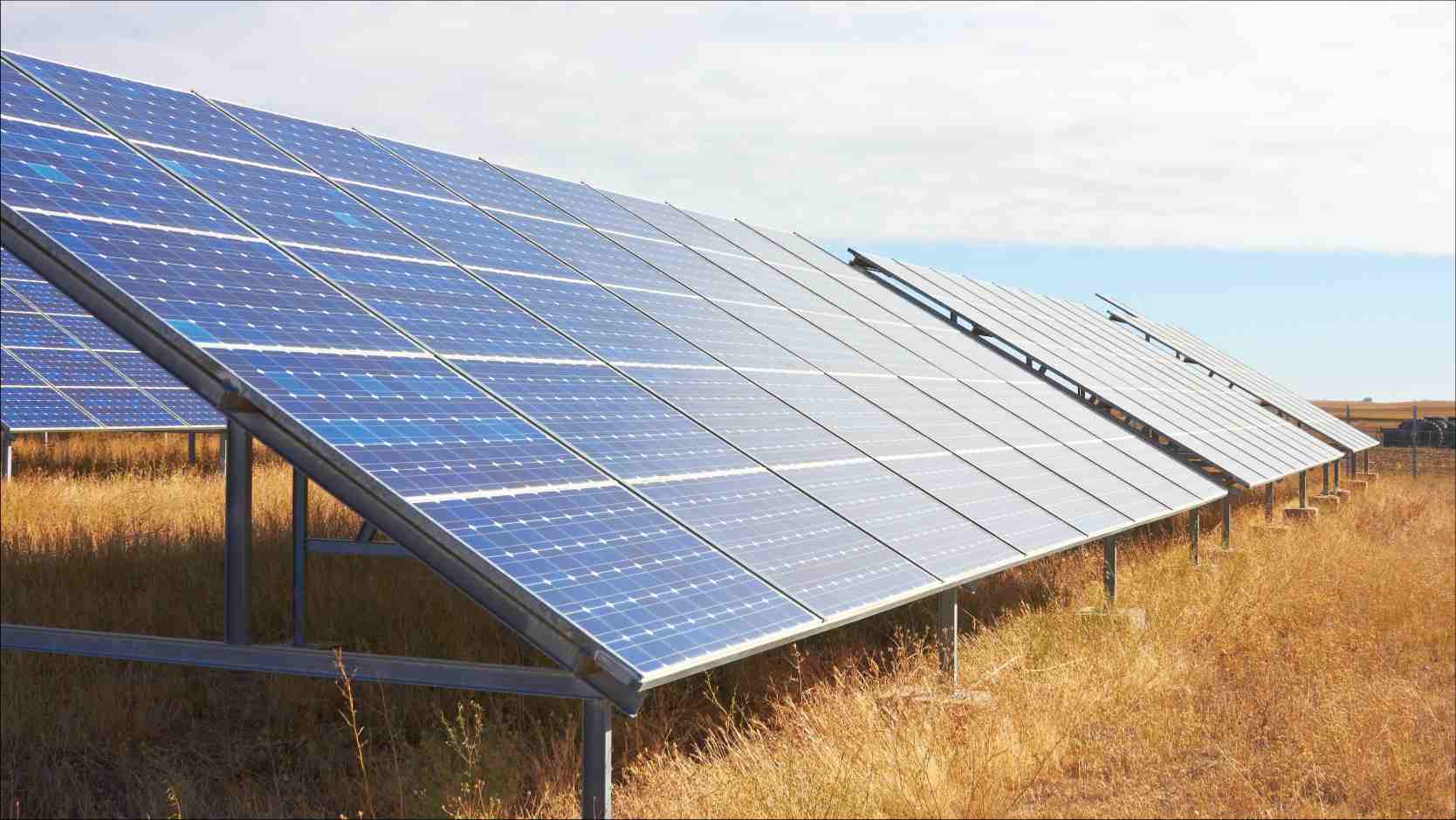 Texcan - Industries - Energy Generation - Solar Farms.jpg