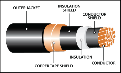 Newsletter - MV-105 - Body Images - MV 105
