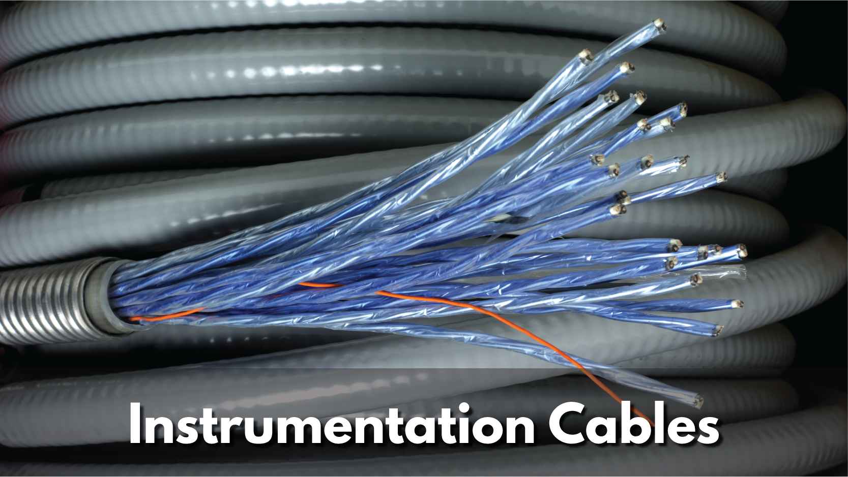 Texcan - View All Products - Instrumentation Cables