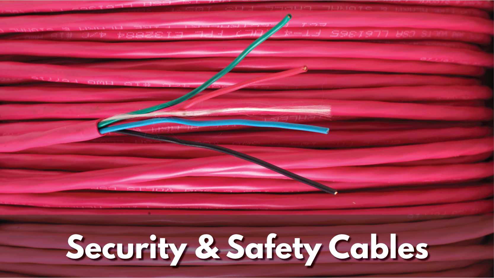 Texcan - View All Products - Security & Safety Cables