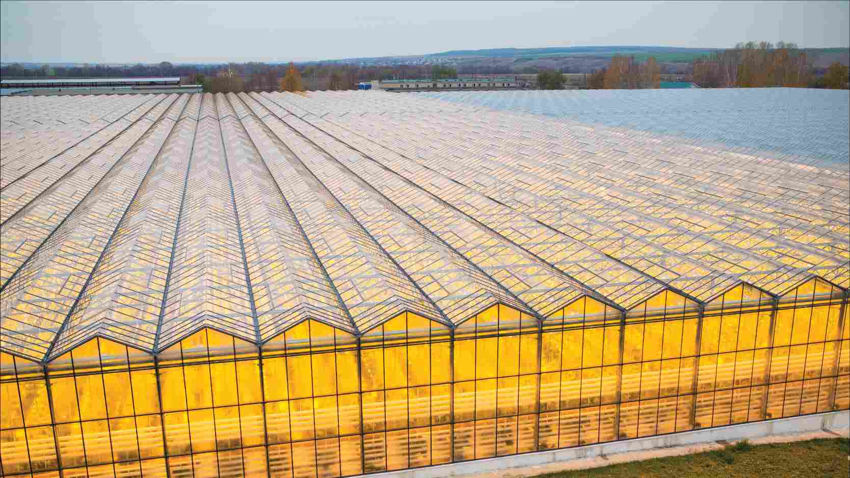 Texcan - Industries - Agriculture - Greenhouses