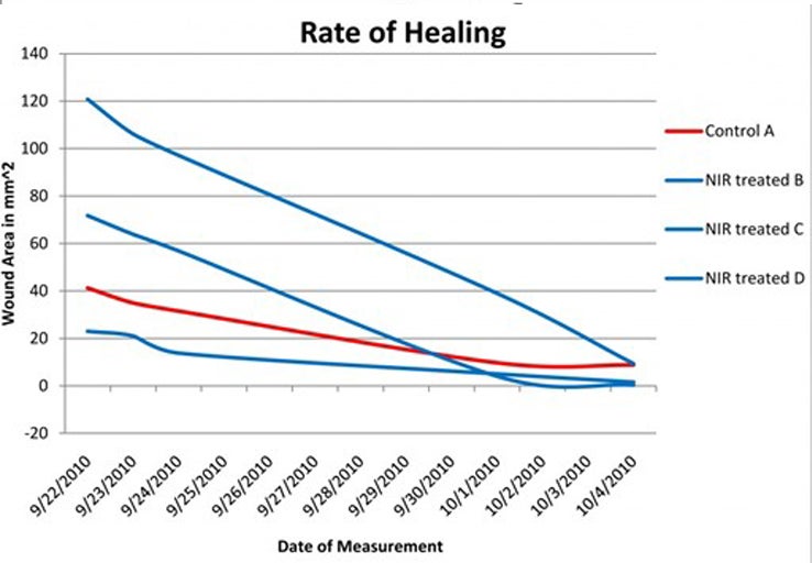 Rate of healing chart