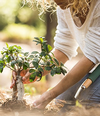 Gardening