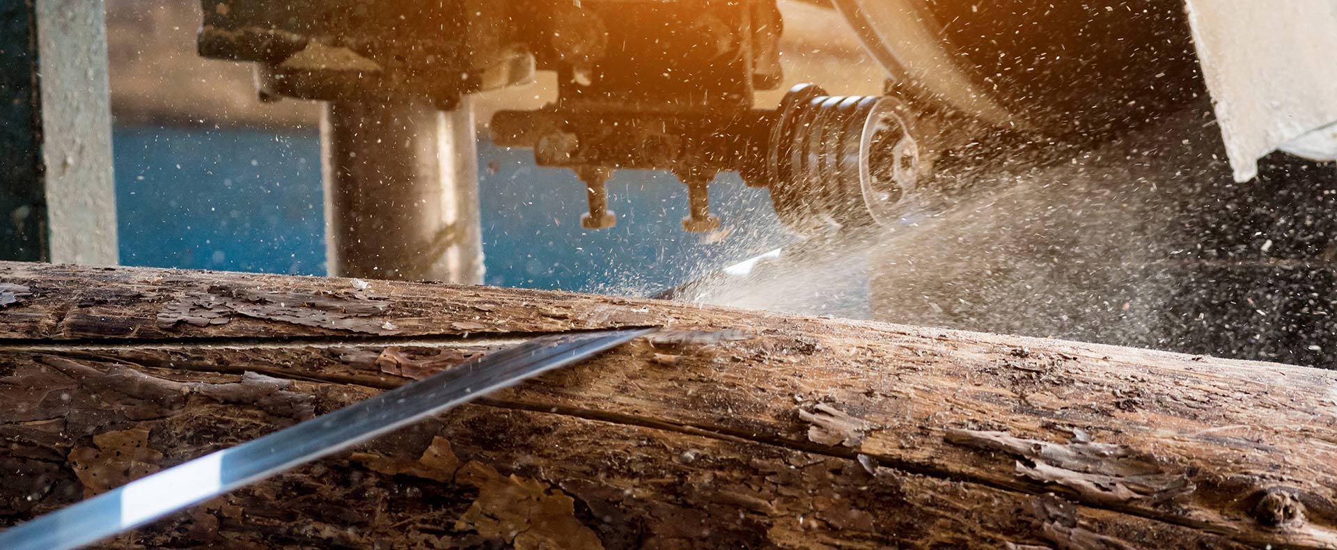 Wood being cut for sauna