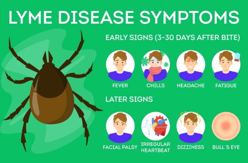 Lyme disease symptoms