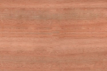 Eucalyptus Wood Sample