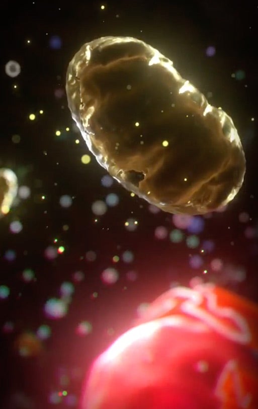 A zombie cell inside of a person's body